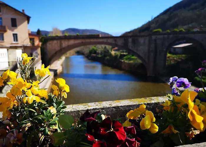 Le Pont Neuf Saint-Affrique