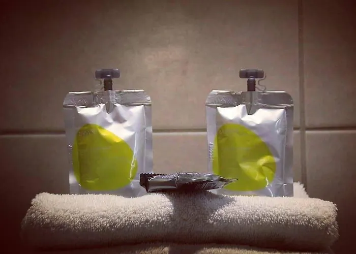 Hotel Le Pont Neuf Saint-Affrique